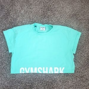 Gymshark Mint Fraction Crop Top XS